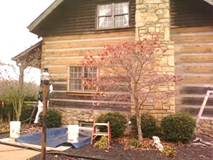 Log Cabin Staining By LogDoctors