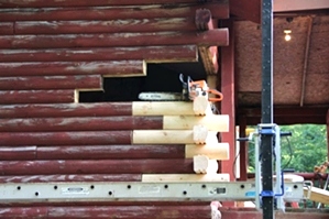Log Replacement by Log Doctors