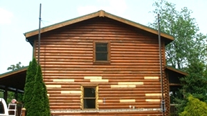 Log Refacing And Log Repair By LogDoctors