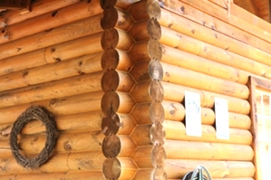 Log Cabin Restoration By LogDoctors